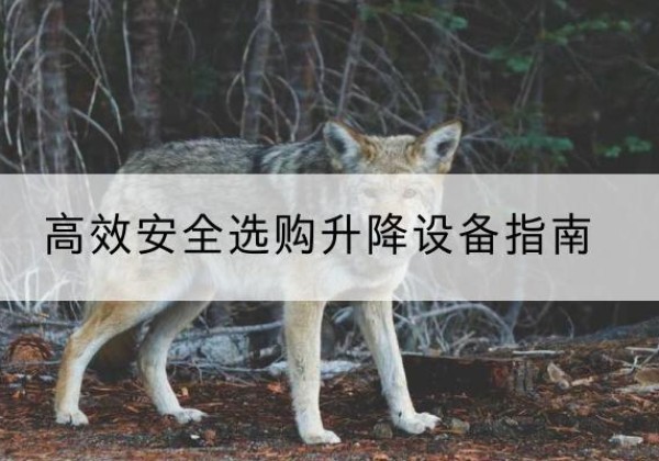 黄陂升降货梯厂家推荐-*安全选购升降设备指南