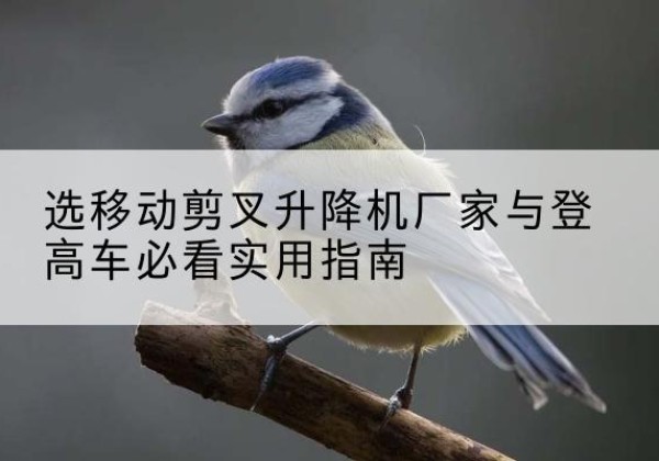 黄陂电动升降机厂家-选移动剪叉升降机厂家与登高车必看实用指南
