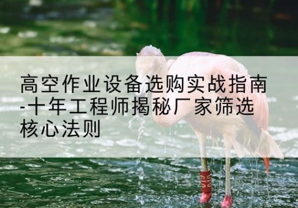 黄陂剪叉式升降机厂家-高空作业设备选购实战指南-十年工程师揭秘厂家筛选核心法则